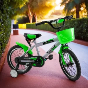 Jiexika 2 Wheels Grey & Green Bicycle With Basket1