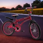 Santosa 2 Wheels Red Bicycle1