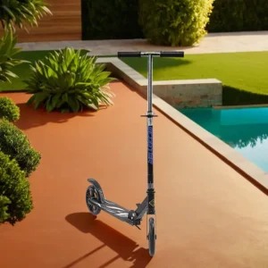 Folding Scooter 2 Wheels Black4