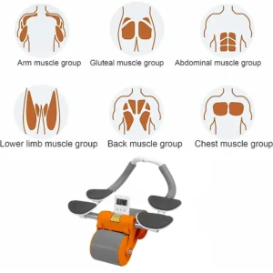 Healthy Abdomen Wheel1