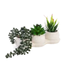 Porcelain 22x7x5cm Green Plants With 3in1 White Vases