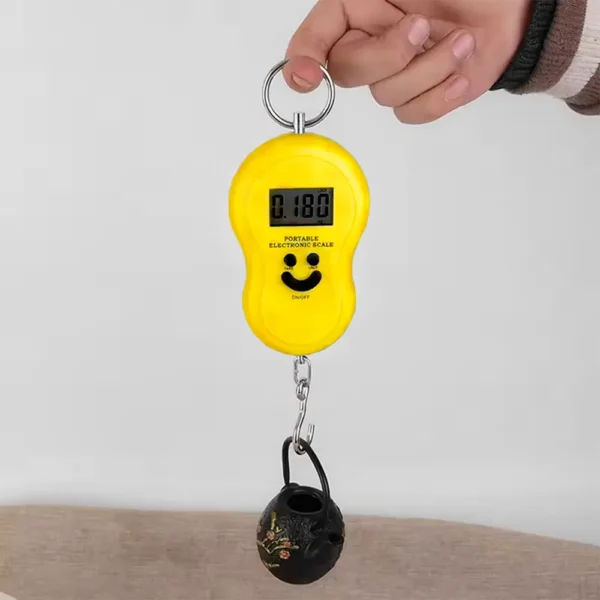 Portable Electric Scale1