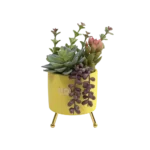 Colored Plants 13cm With Yellow Vase & Golden Base