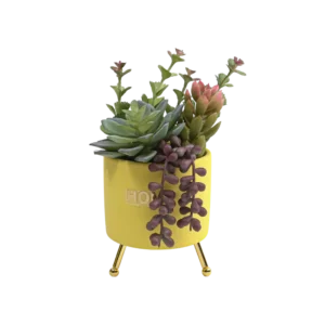 Colored Plants 13cm With Yellow Vase & Golden Base