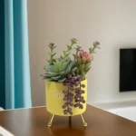 Colored Plants 13cm With Yellow Vase & Golden Base1