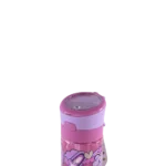 Cool Level 420ml Fuchsia Water Bottle2