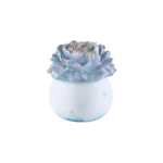 Gypsum Blue Pot With Flower Sculpted Lid