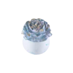 Gypsum Blue Pot With Flower Sculpted Lid2