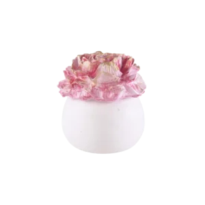 Gypsum Red Pot With Flower Sculpted Lid