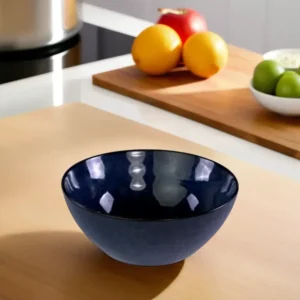 Momaz 23.3x9cm Porcelain Navy Blue Jumbo Bowl1