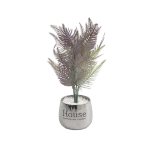 Purple 7.5cm Fern Plant With Silver Vase