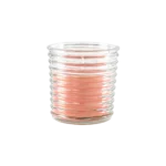 Mango Coconut Scented Candle