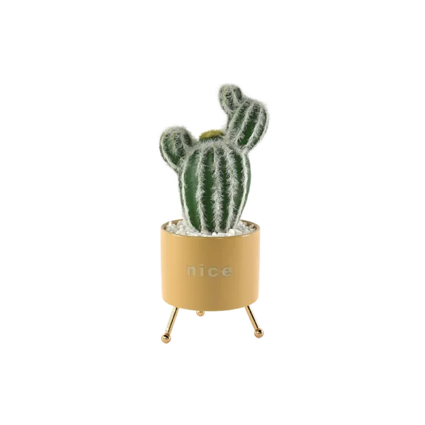 Cactus Plant With Porcelain Yellow Vase