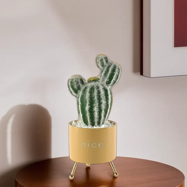 Cactus Plant With Porcelain Yellow Vase1