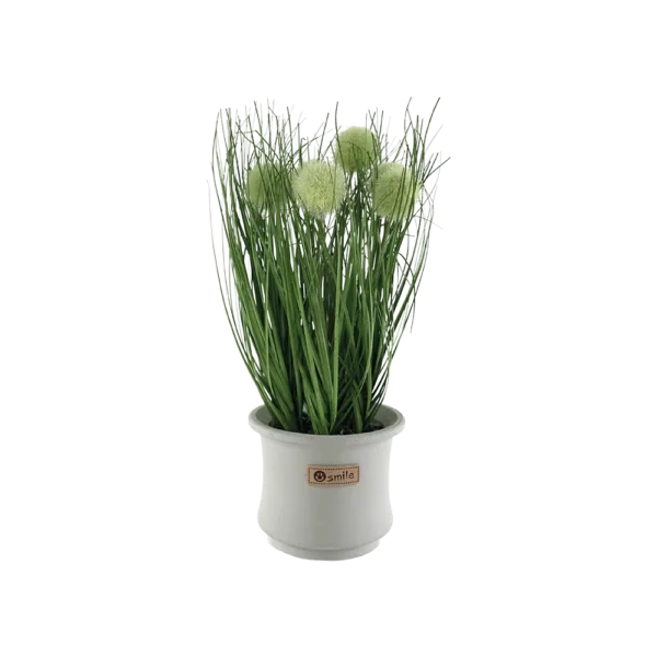 Circular Green Plant With Porcelain Vase