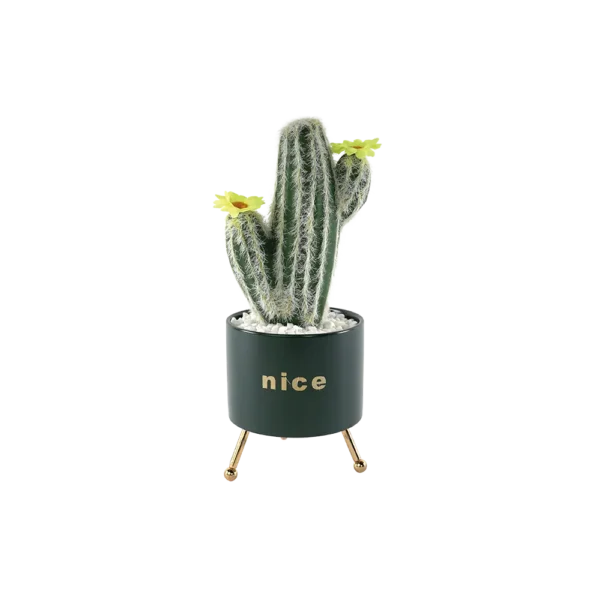 Flower Cactus Plant With Porcelain Green Vase