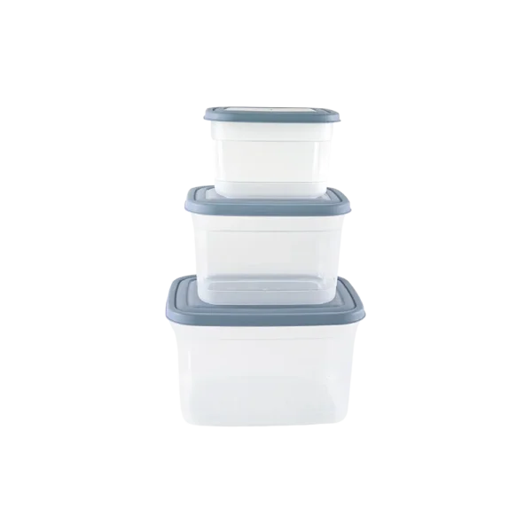 Freshlife 3pcs Blue Classy Rectangular Storage Box Set