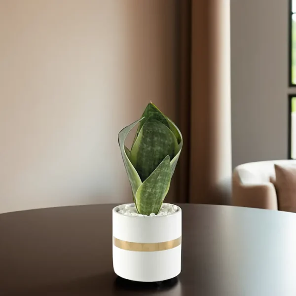 Green 20cm Plant With Porcelain White Vase1