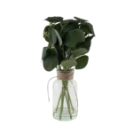 Green 36cm Plant With Glass Vase