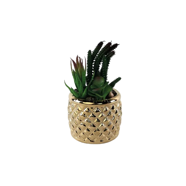 Green Plant With Porcelain Golden Vase