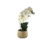 Moth Orchid 36cm White Plant With Porcelain Yellow Vase