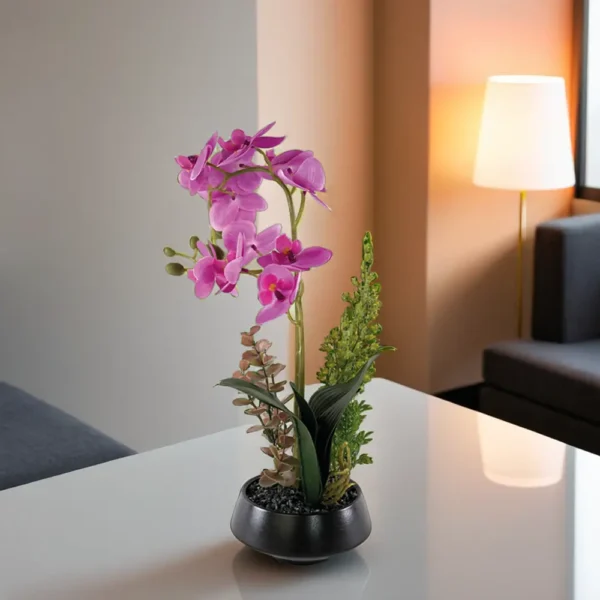 Moth Orchid 40cm Pink Plant With Black Vase1