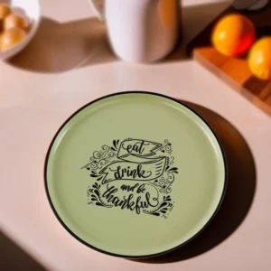 Ceramic 22cm pistage dinner plate1