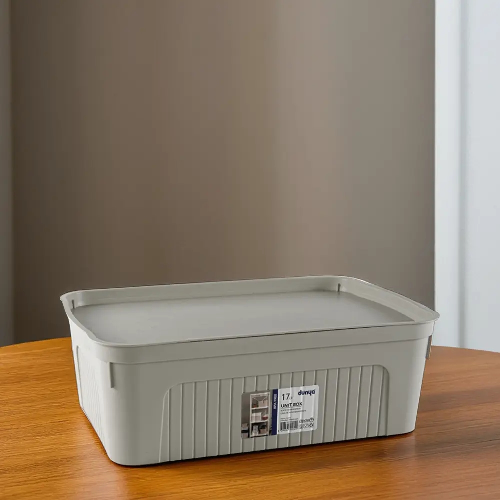 Dunya 17l light beige storage box1