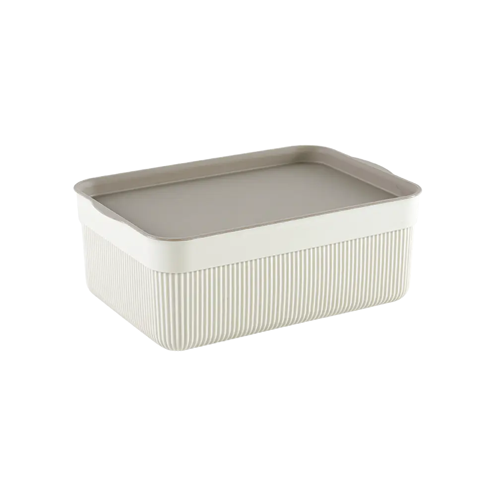 Alesta 3l beige storage box