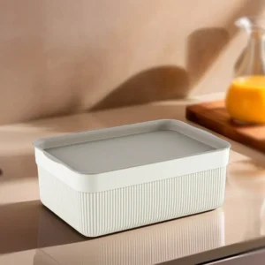 Alesta 3l beige storage box1