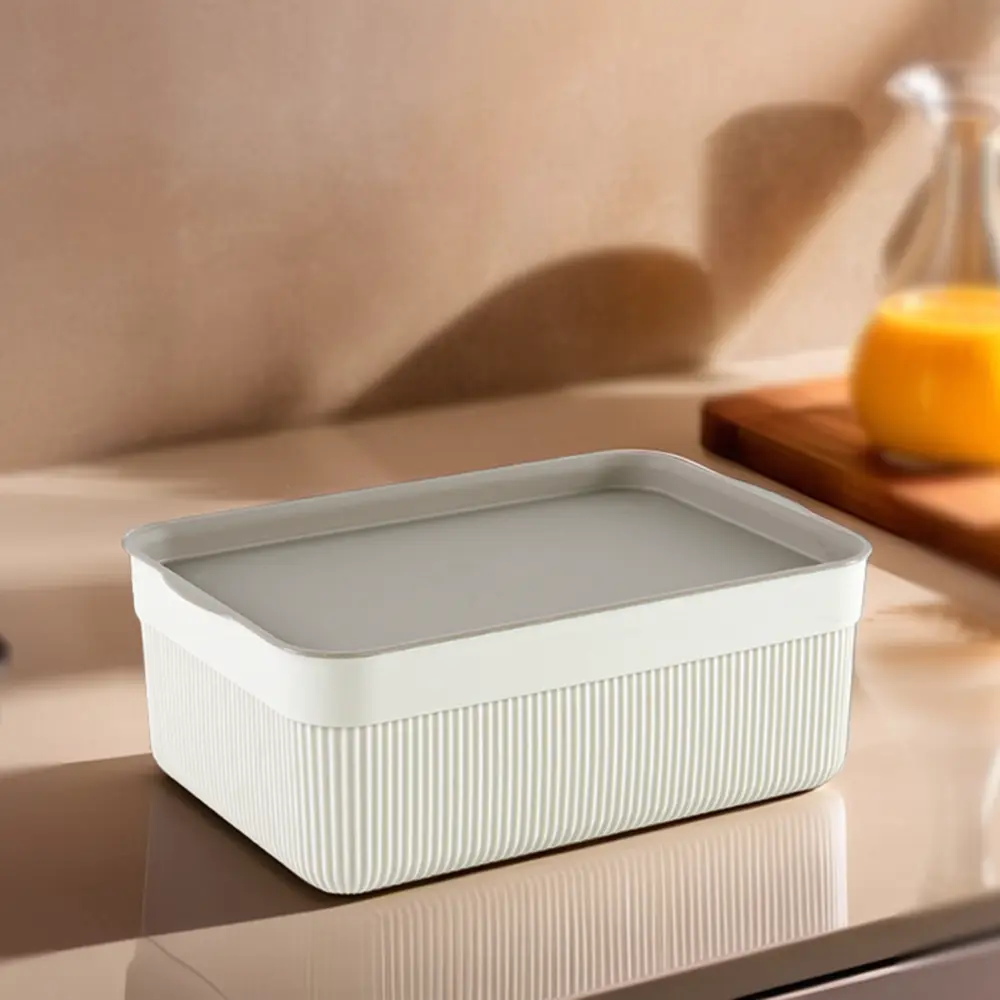 Alesta 3l beige storage box1