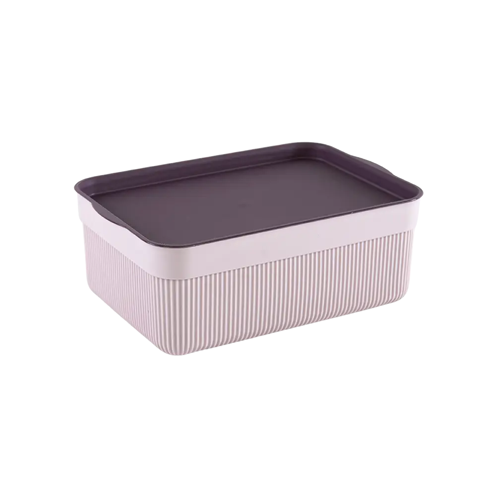 Alesta 3l purple storage box