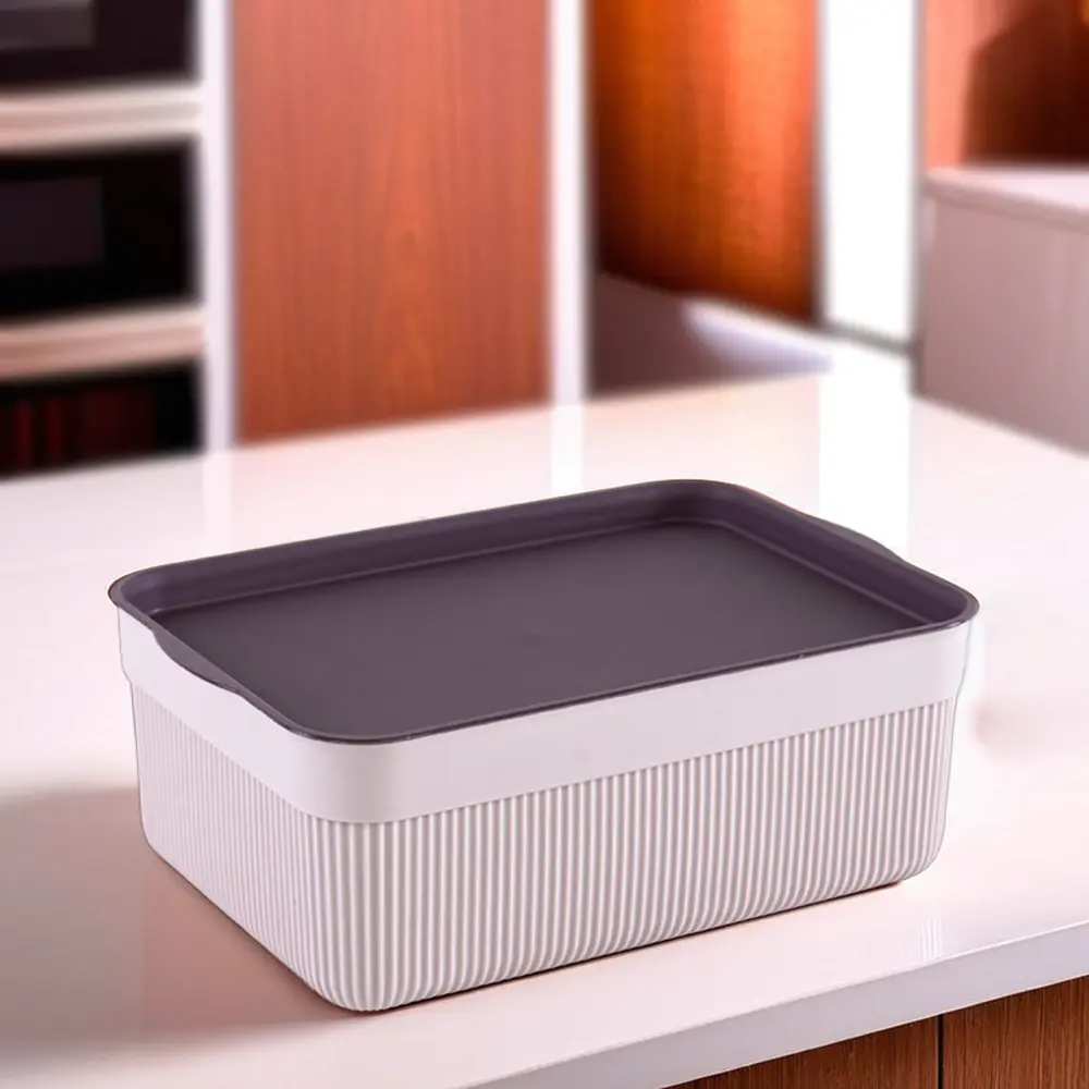 Alesta 3l purple storage box1