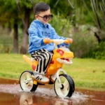 Dinosaur design 3 wheels orange tricycle2