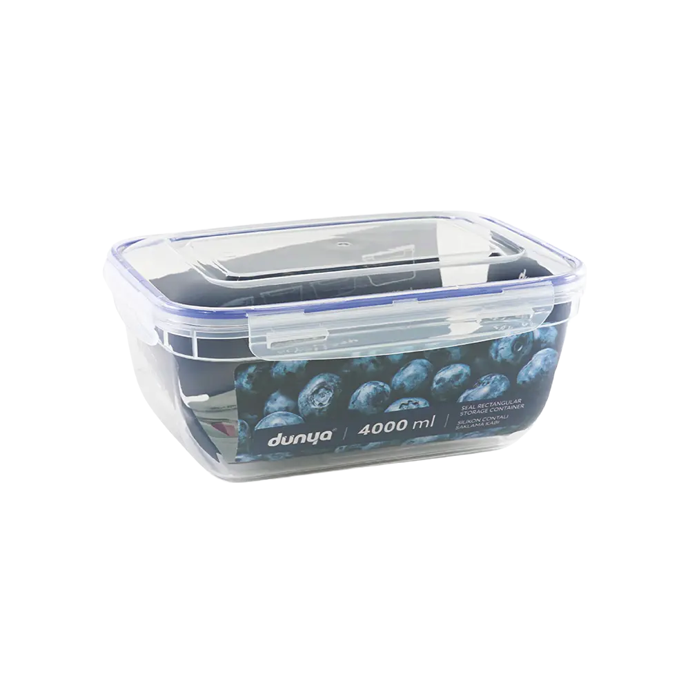 Dunya 4l seal rectangular storage container