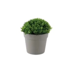 Eva 11cm green plant with beige vase