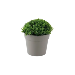 Eva 11cm green plant with beige vase