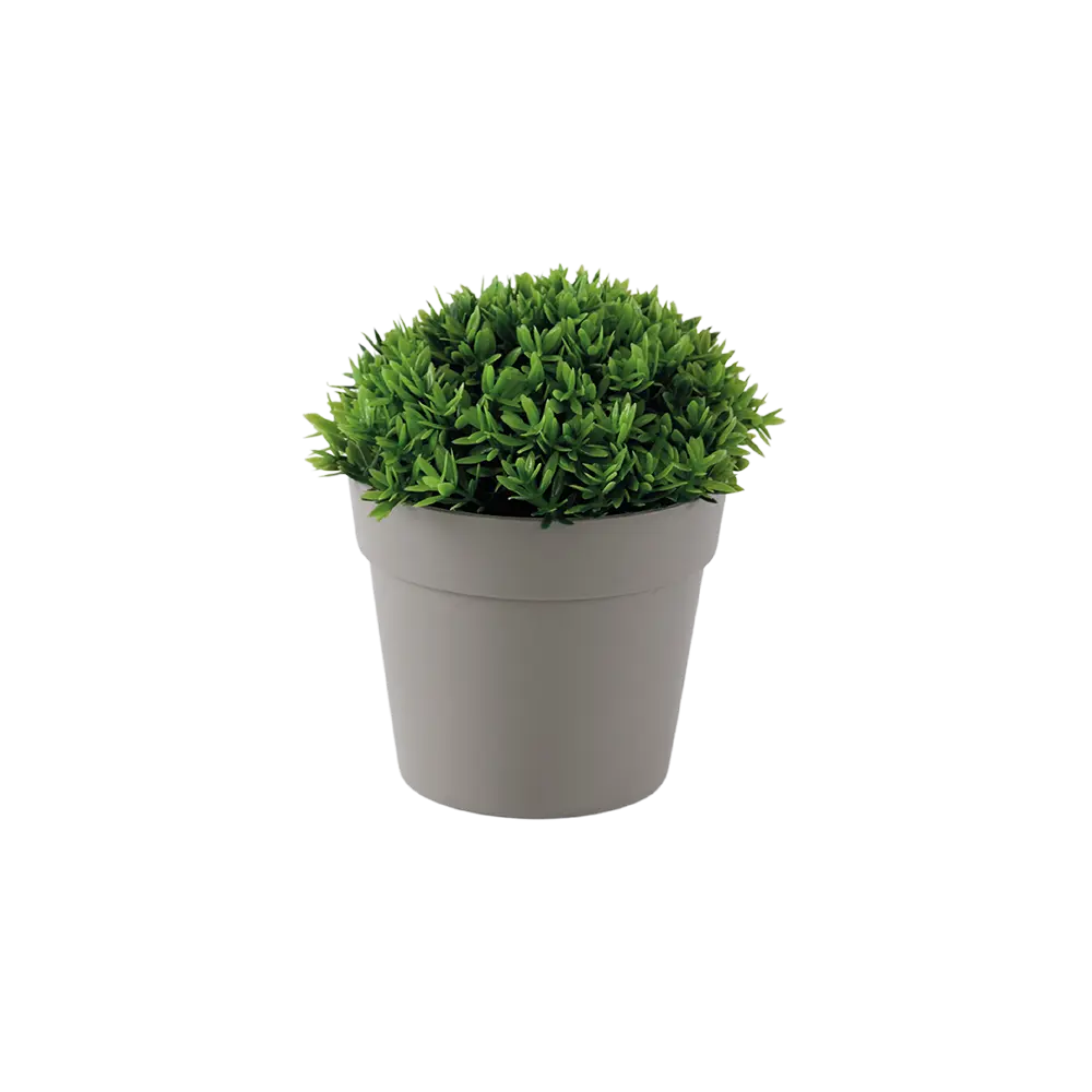 Eva 11cm green plant with beige vase