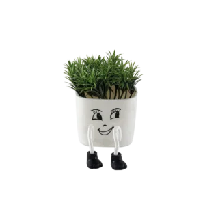 Eva green plant with face design white vase