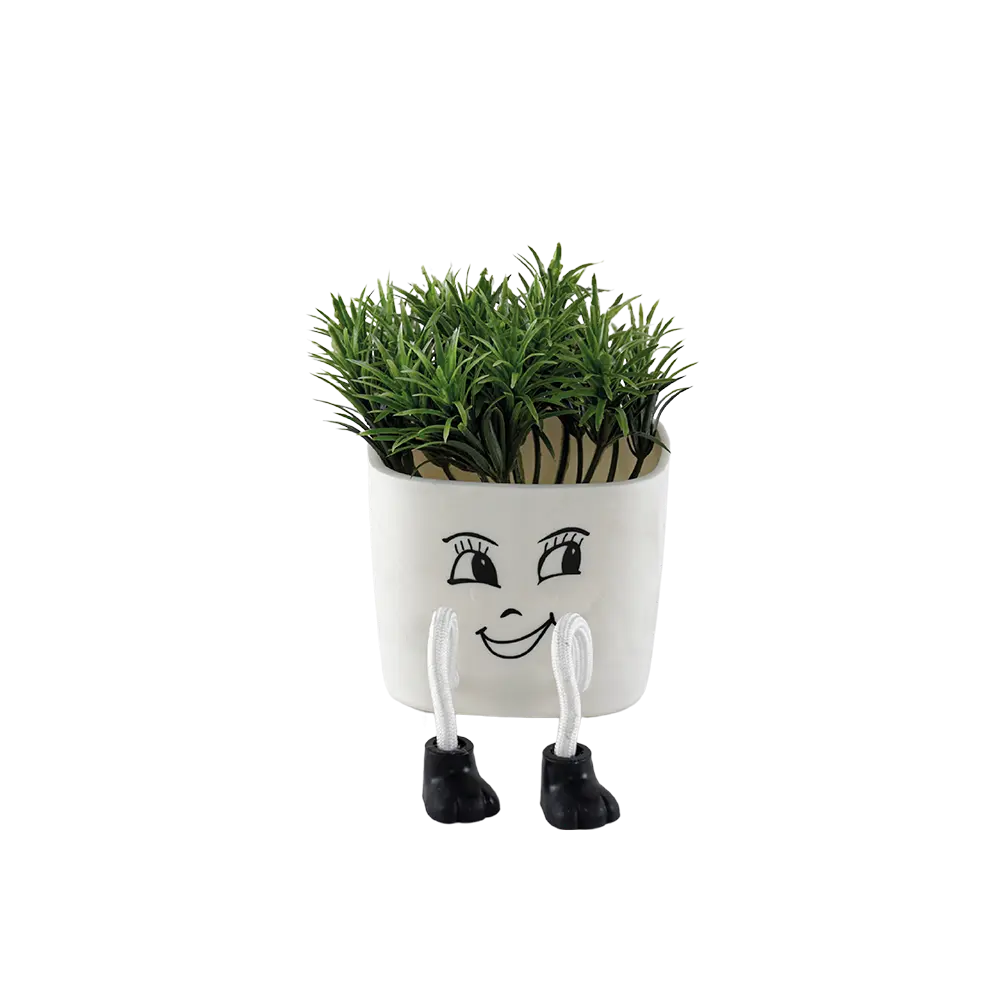Eva green plant with face design white vase