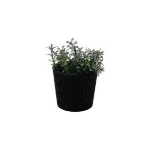 Eva green plant with ribbed design black vase