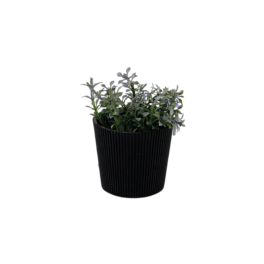 Eva-Green-Plant-with-Ribbed-Design-Black-Vase Eva green plant with ribbed design black vase