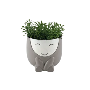 Eva green plant with smiley face grey vase