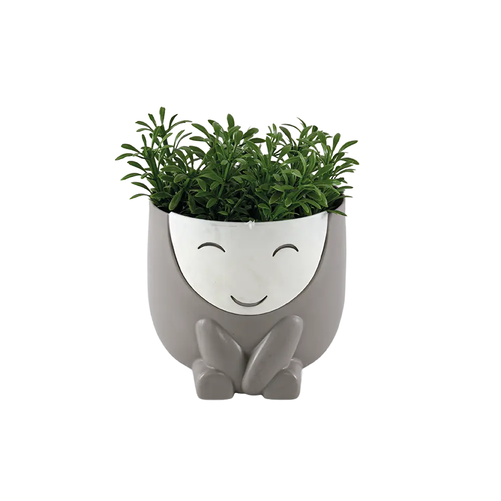 Eva green plant with smiley face grey vase