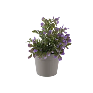 Eva green & purple plant with beige vase