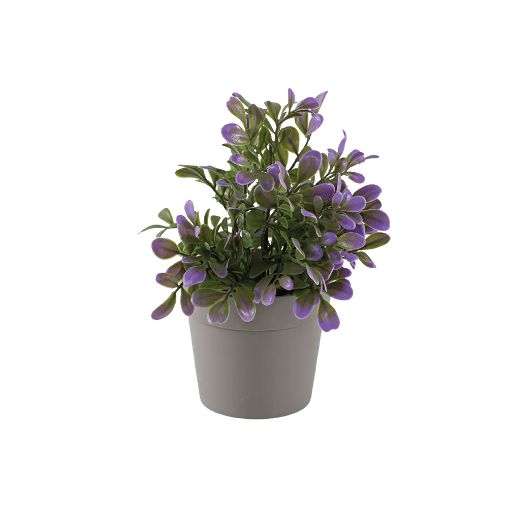 Eva green & purple plant with beige vase