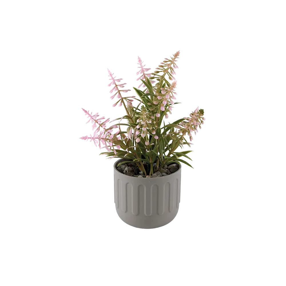Eva lavender pink plant with beige vase