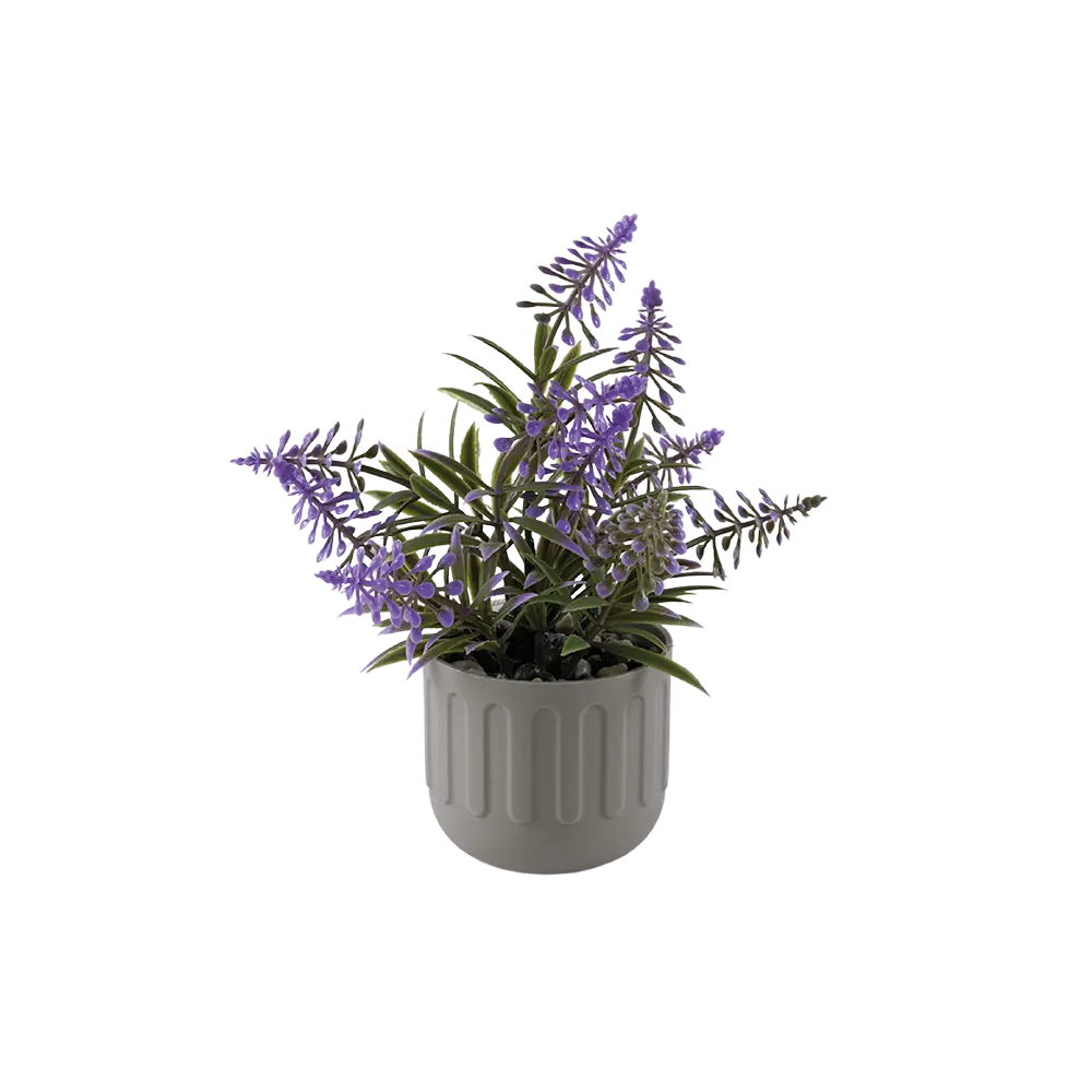 Eva lavender plant with beige vase