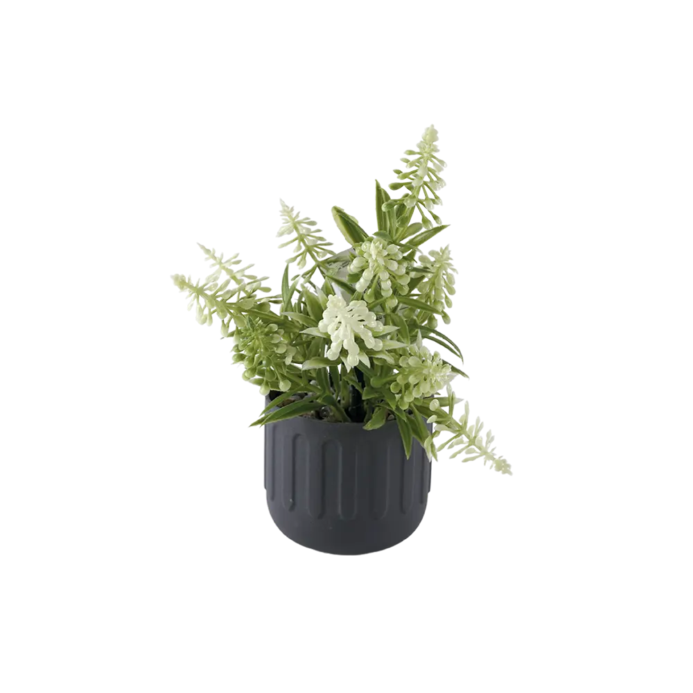 Eva-Lavender-White-Plant-with-Grey-Vase Eva lavender white plant with grey vase