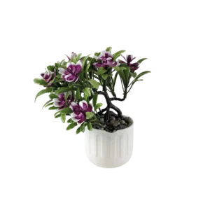 Eva magenta flower with white vase